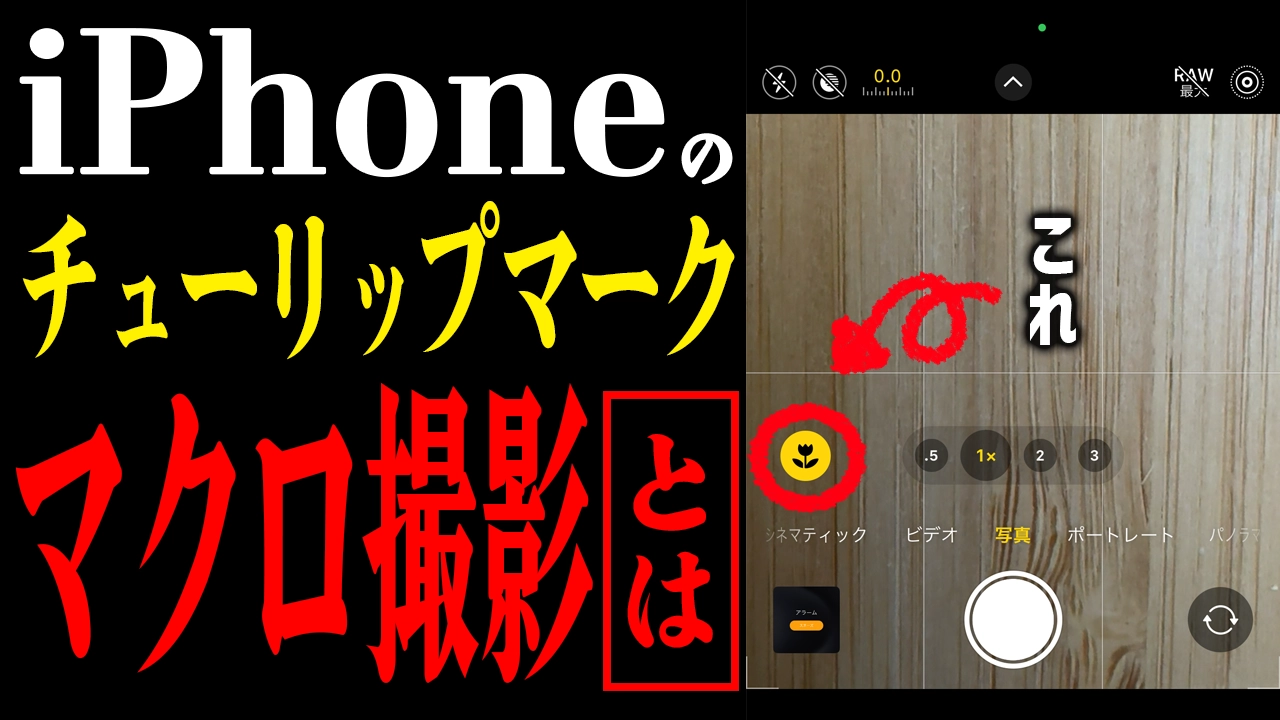 チューリップマークで変わる！iPhoneカメラのマクロ撮影術とは？